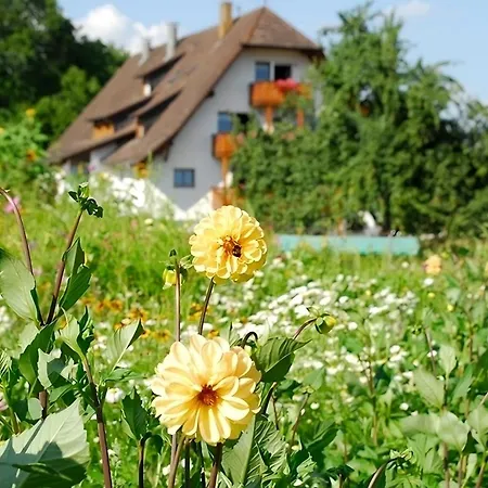 Bauernhof Mayer بيت للعطل *