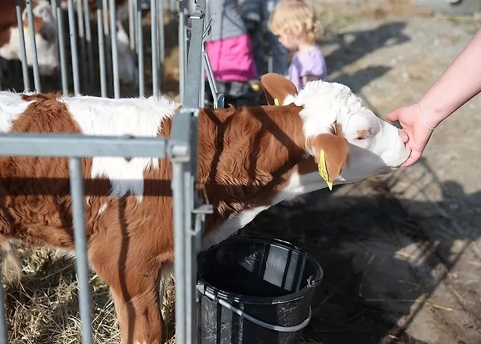 Mayer Burghöfe Ferienhaus *