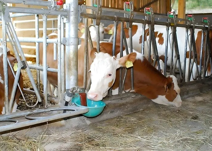 Mayer Burghöfe * Owingen